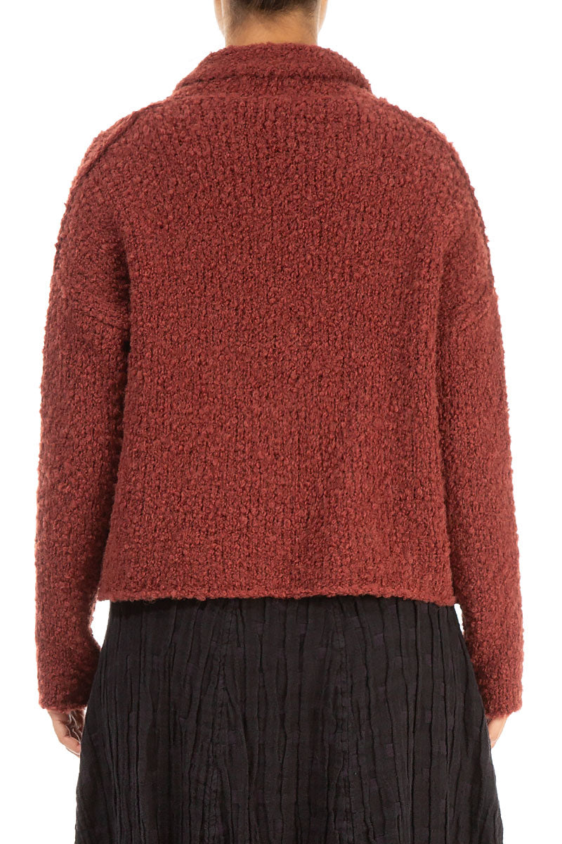 Collar Burnt Brick Alpaca Wool Cardigan 2