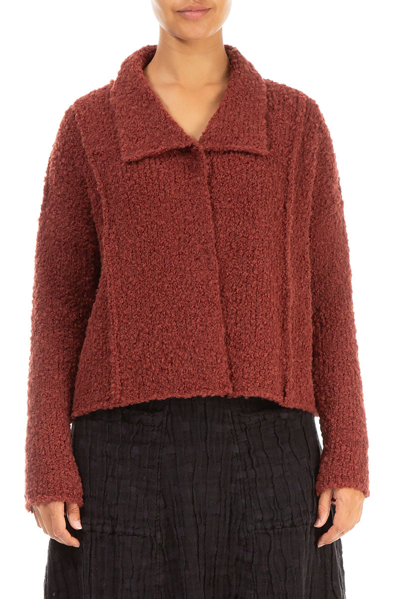 Collar Burnt Brick Alpaca Wool Cardigan 1