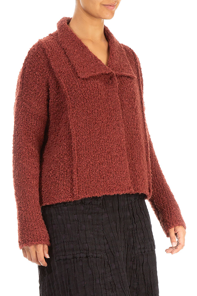 Collar Burnt Brick Alpaca Wool Cardigan 3