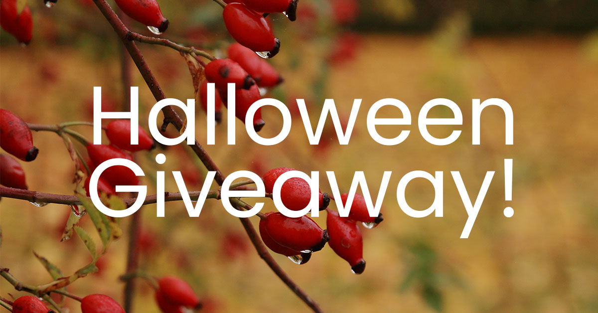 Halloween Giveaway 🎃