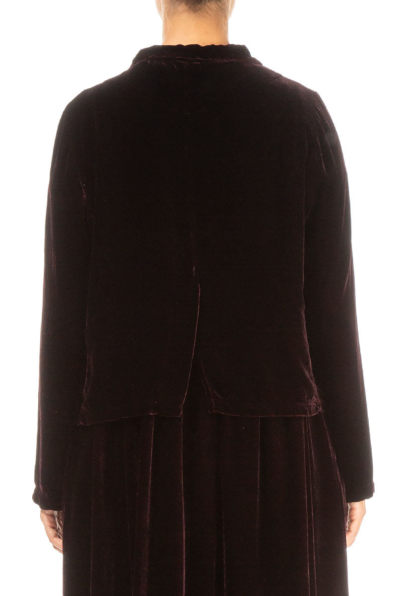 Buttoned Merlot Silk Velvet Jacket