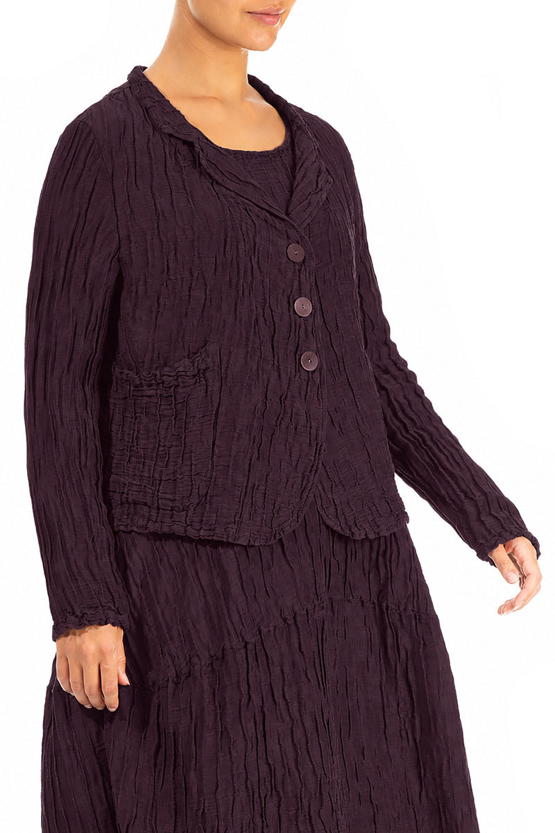 Short Crinkled Deep Plum Silk Linen Jacket