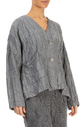 Silver Pleated Silk Linen Jacket 4