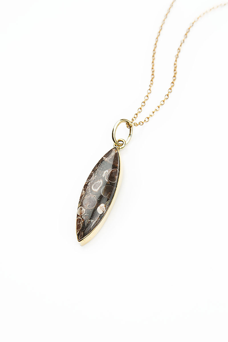 Turritella Fossil Pendant Necklace