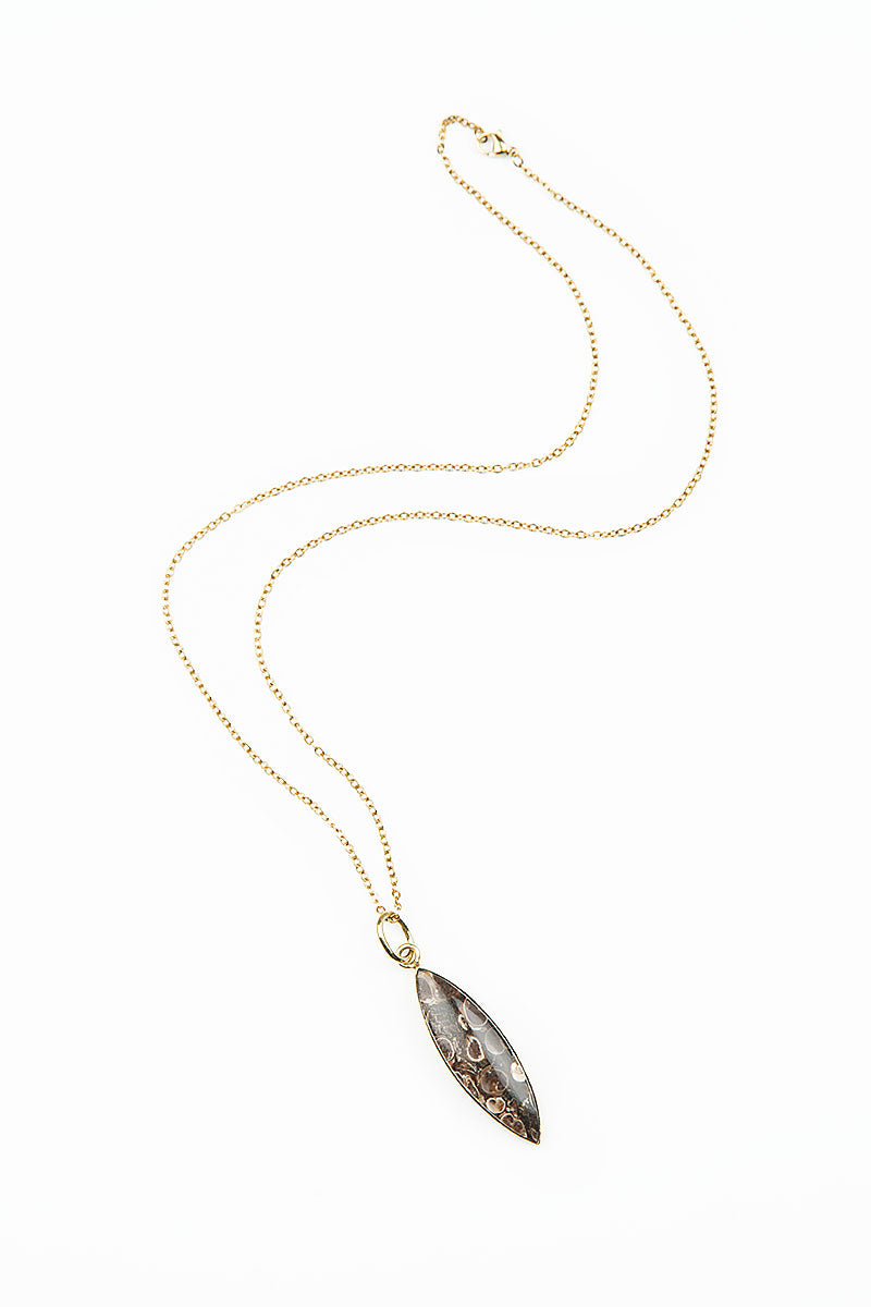 Turritella Fossil Pendant Necklace